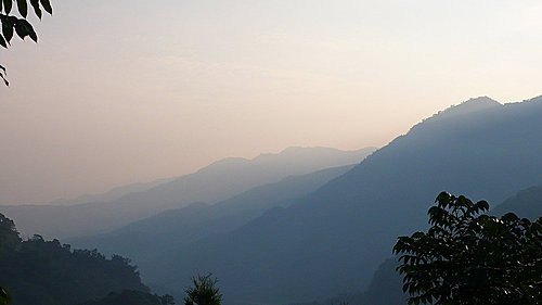 1371480366 3823375167