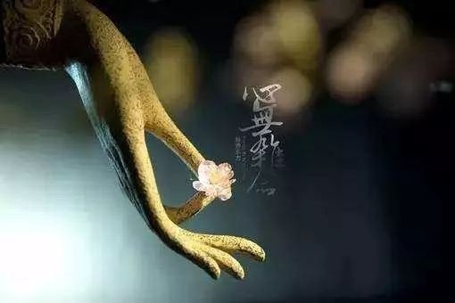 暢談六祖壇經（1456）著相修行