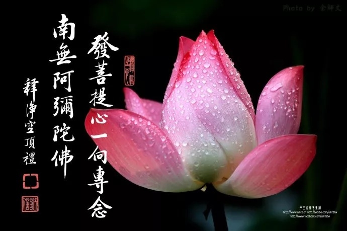 暢談六祖壇經（026）發菩提心