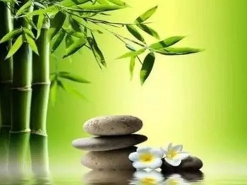 暢談六祖壇經（489）解決問題
