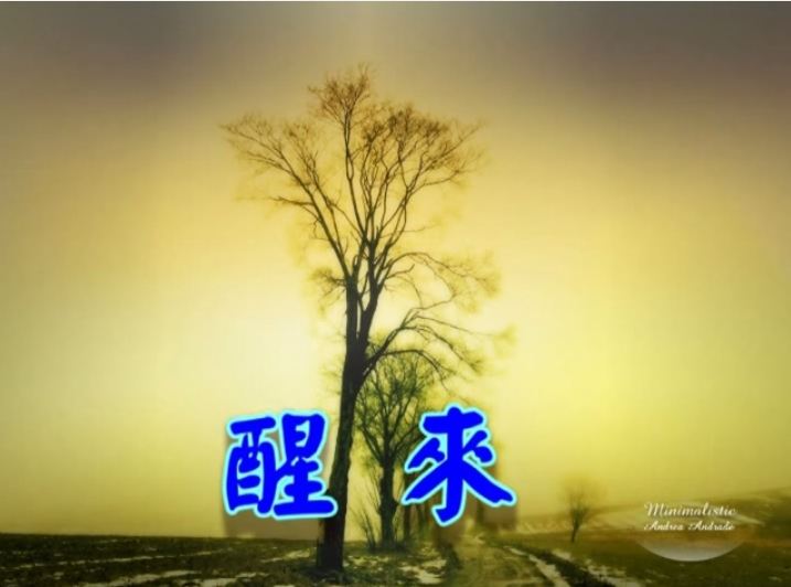 醒來影片