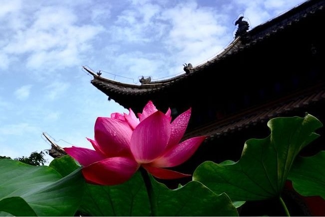 暢談六祖壇經（638）了解障礙