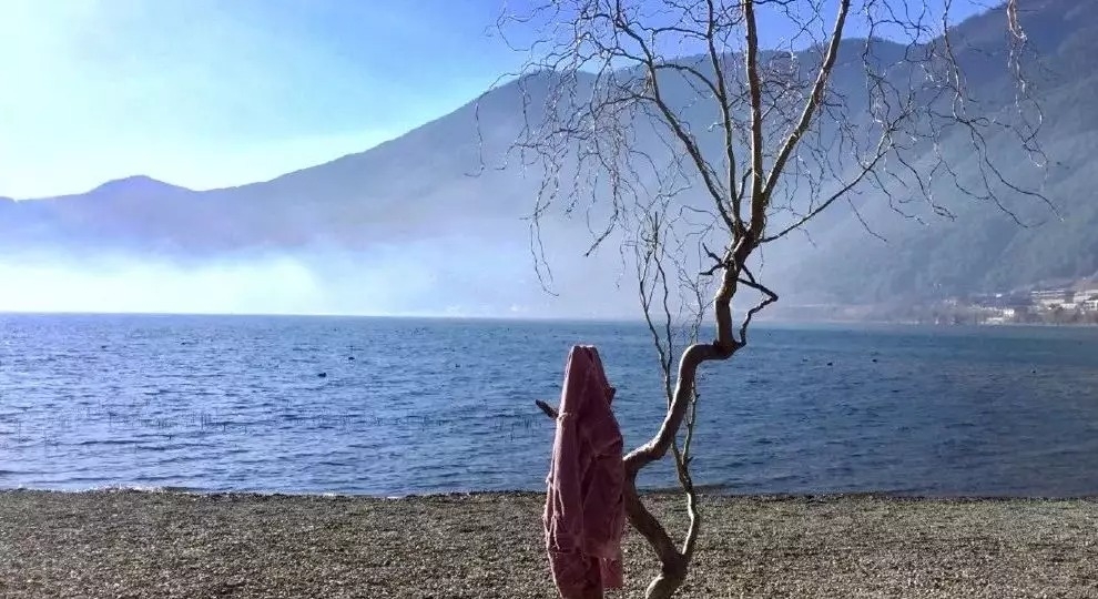 暢談六祖壇經（467）一相平等