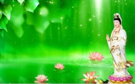 暢談六祖壇經（1174）不斷認識