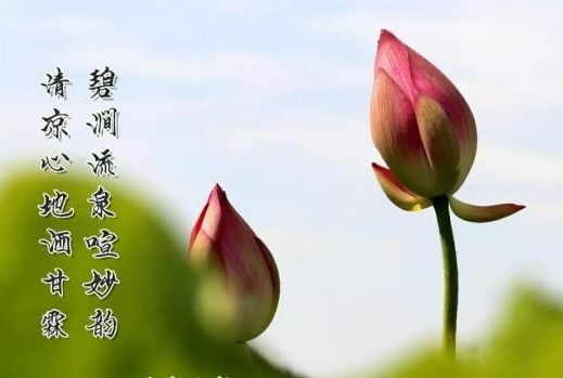 暢談六祖壇經（1029）只是錯覺