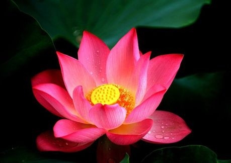 暢談六祖壇經（1216）真不用求