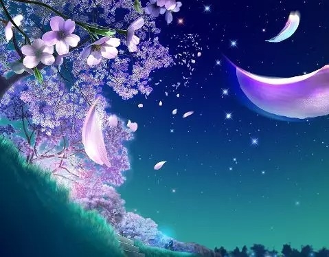 暢談六祖壇經（686）條件具足