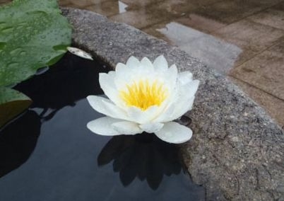 暢談六祖壇經（630）離財離色