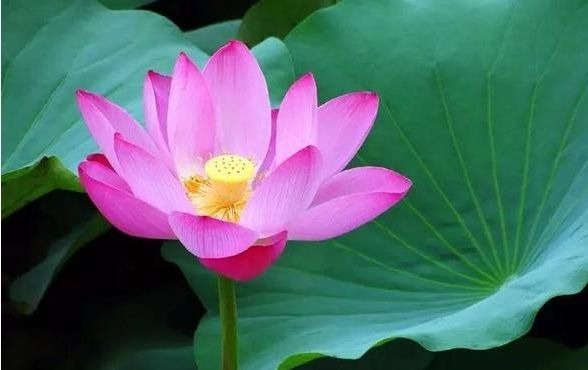 暢談六祖壇經（271）念念覺知