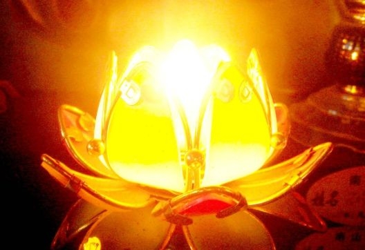 暢談六祖壇經（1494）不昧因果