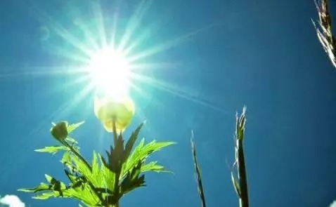 暢談六祖壇經（590）自心眾生