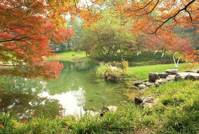 暢談六祖壇經（631）苦是真相
