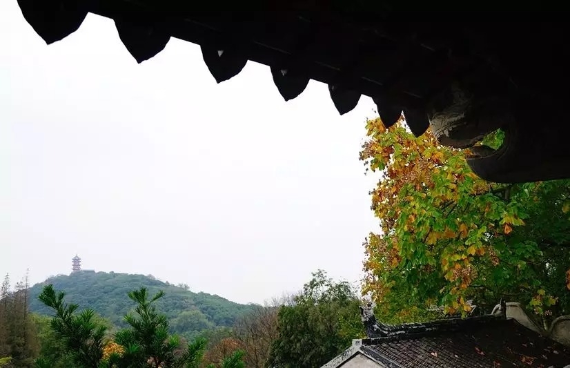 暢談六祖壇經（714）一網打盡