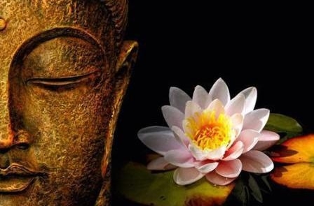 暢談六祖壇經（391）妄心所造