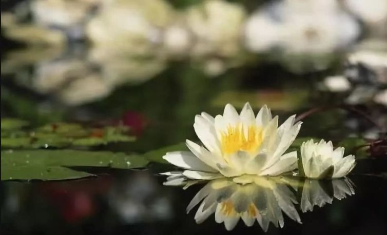 暢談六祖壇經（1058）就在當下