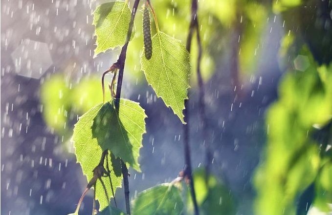 暢談六祖壇經（1168）任心自在