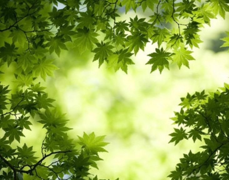 暢談六祖壇經（643）十二因緣