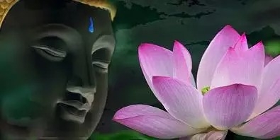 暢談六祖壇經（767）非關文字