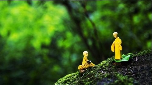 暢談六祖壇經（1064）讓心覺醒