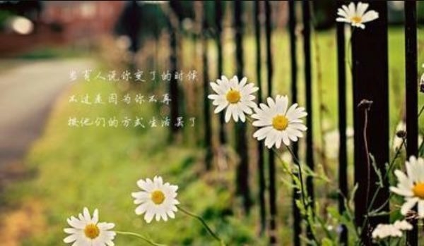 暢談六祖壇經（1262）全然真誠