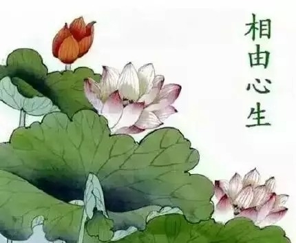 暢談六祖壇經（338）除心中罪