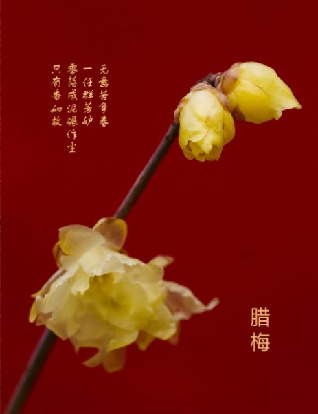 暢談六祖壇經（1343）道無相對