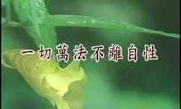 暢談六祖壇經（072）不離自性