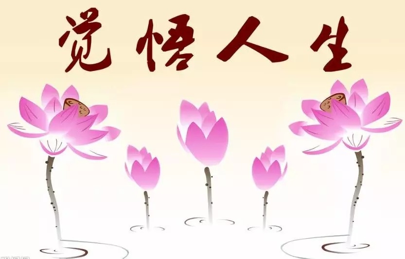 暢談六祖壇經（027）深觀無常