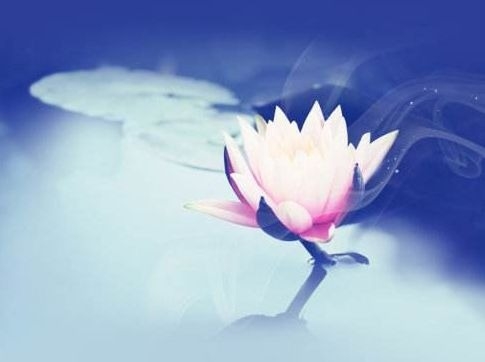 暢談六祖壇經（1000）觀照六塵