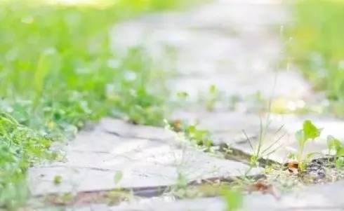 暢談六祖壇經（757）道有專攻