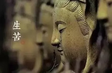 暢談六祖壇經（353）但心清凈