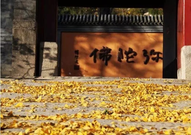 暢談六祖壇經（056）自性本空