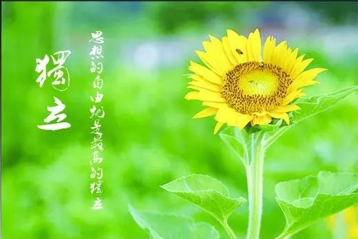 暢談六祖壇經（549）讓心清淨