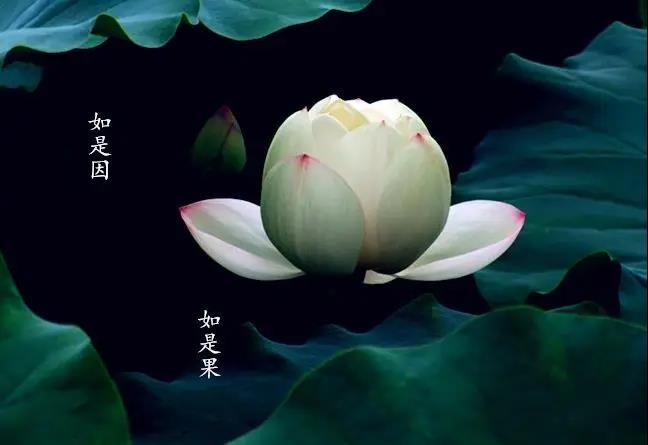 暢談六祖壇經（1608）心平行正