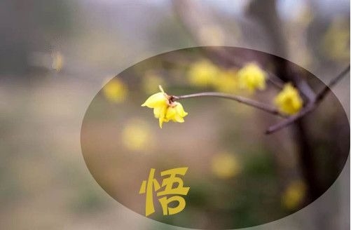 暢談六祖壇經（130）無得失心