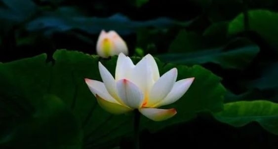 暢談六祖壇經（948）莫名其妙