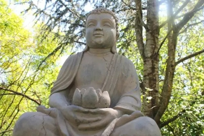 暢談六祖壇經（541）隨緣應對
