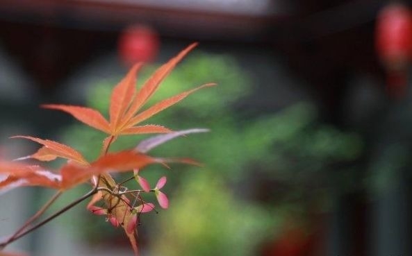 暢談六祖壇經（706）和合而成