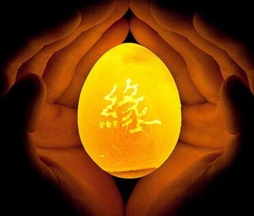 暢談六祖壇經（1255）落入兩難