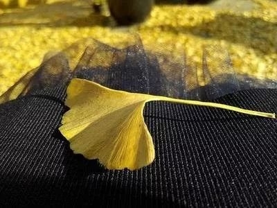暢談六祖壇經（1036）相信自己