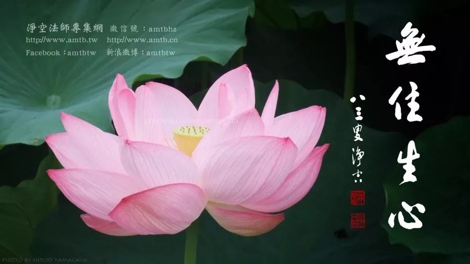 暢談六祖壇經（030）無住生心