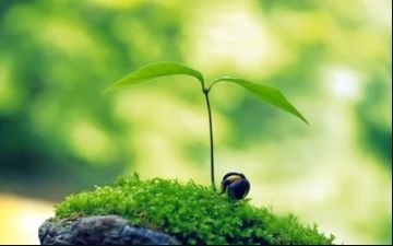 暢談六祖壇經（710）昧地瞞天