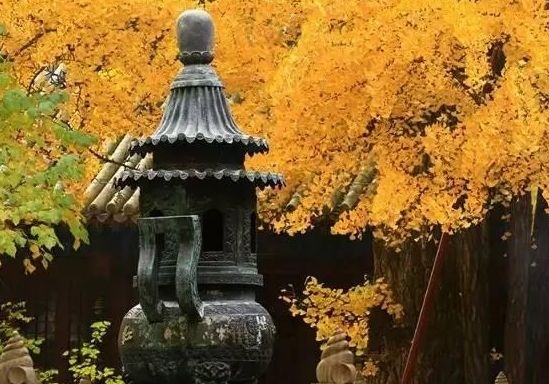 暢談六祖壇經（1266）終生之憂