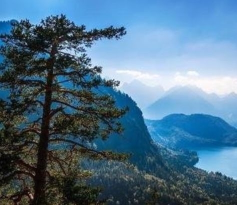 暢談六祖壇經（236）通達無礙