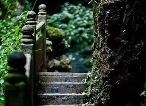 暢談六祖壇經（1490）精讀一經