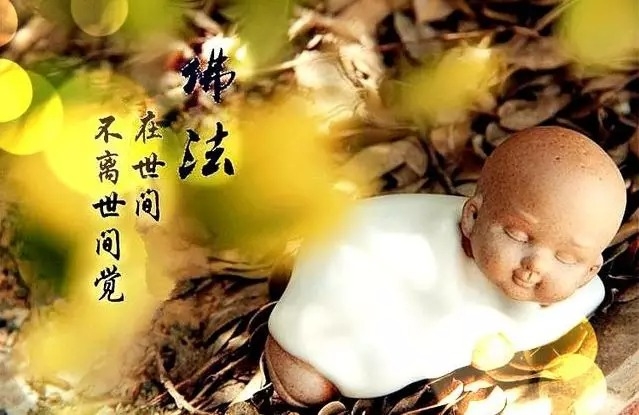 暢談六祖壇經（833）三綱八目