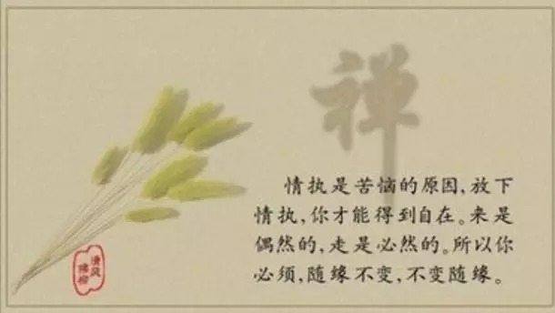 暢談六祖壇經（101）處處淨土