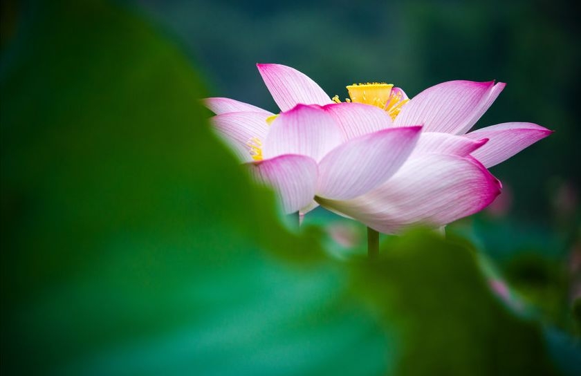 暢談六祖壇經（1492）一切皆空
