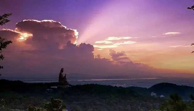 暢談六祖壇經（848）犛牛愛尾