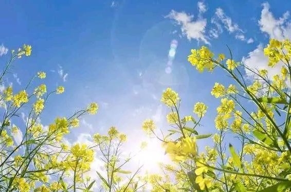 暢談六祖壇經（649）不落兩邊
